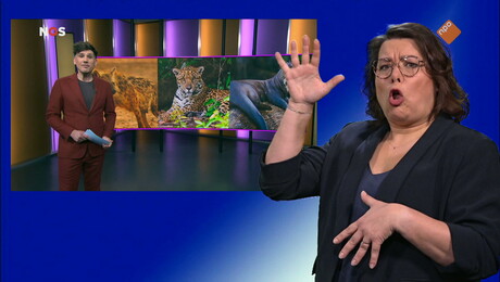 Het NOS Jeugdjournaal